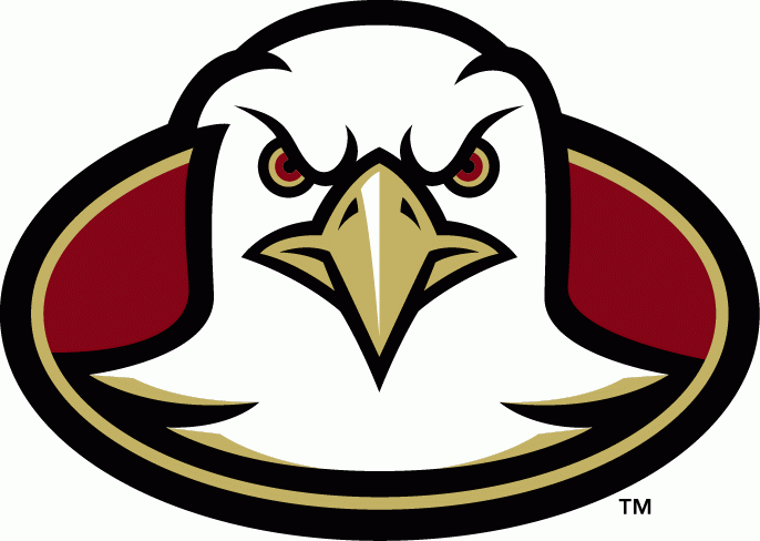 Boston College Eagles 2001-2004 Alternate Logo Print Decal